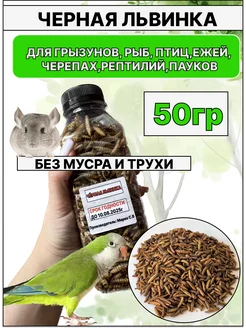 Черная львинка, лакомство для крыс,ежей,черепах,птиц 50грамм