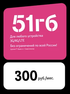 Тариф 51 гб Т2 230511294 купить за 300 ₽ в интернет-магазине Wildberries