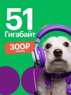 Тариф 51 гб МГФ 230511296 купить за 300 ₽ в интернет-магазине Wildberries