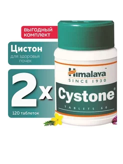 Cystone Хималая 120 таб Himalaya 230519916 купить за 659 ₽ в интернет-магазине Wildberries