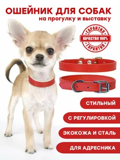 Ошейник для собак и кошек Fan Pets 230567498 купить за 255 ₽ в интернет-магазине Wildberries