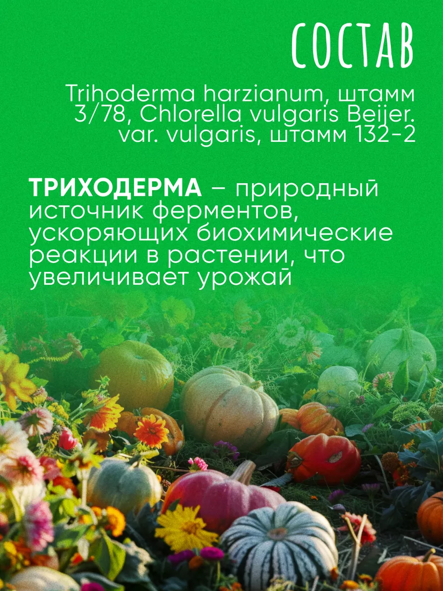 Триходерма + Хлорелла для защиты растений 50г Триходермикс БашИнком  230591165 купить за 178 ₽ в интернет-магазине Wildberries