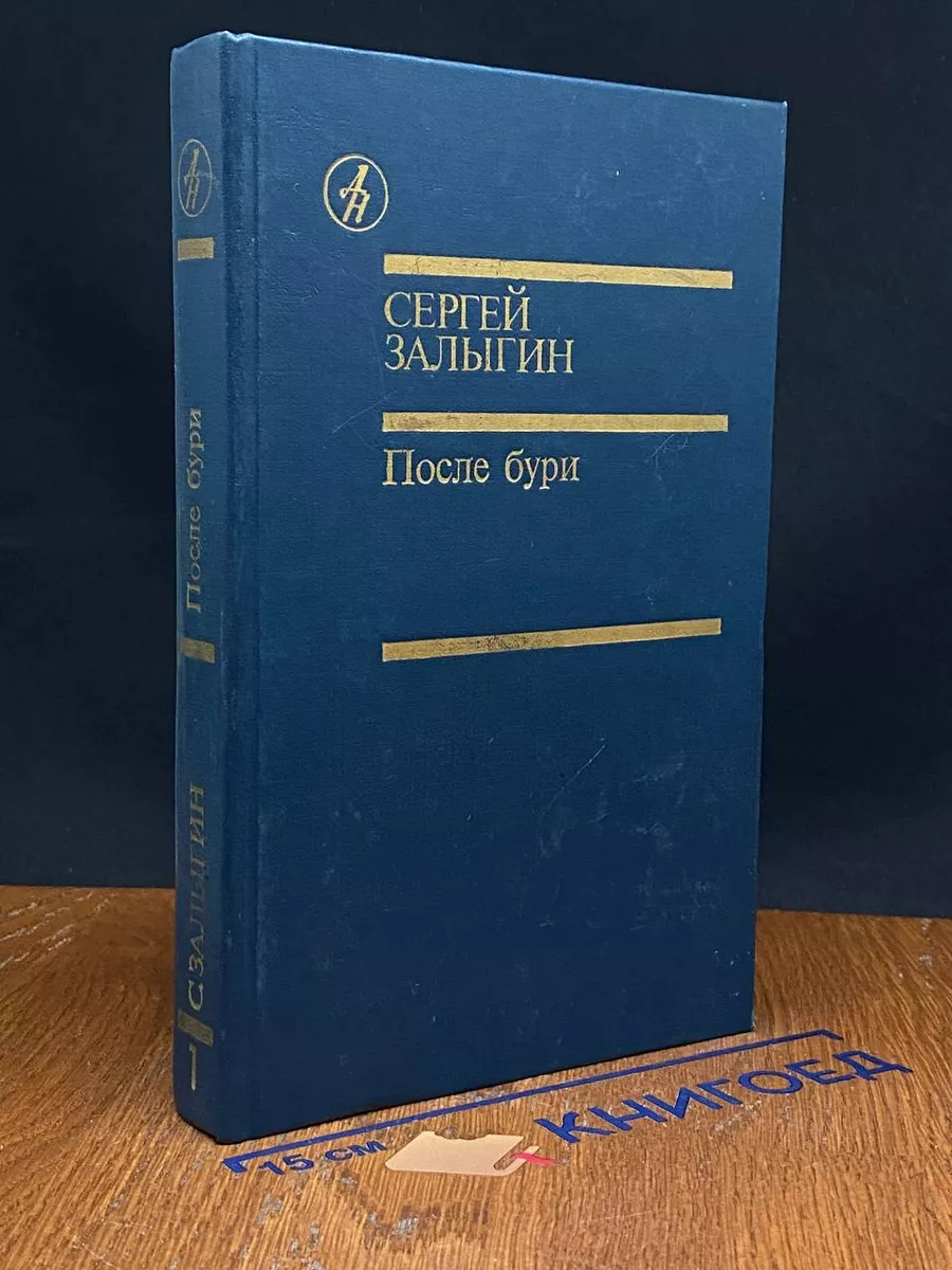 После бури. Книга 1
