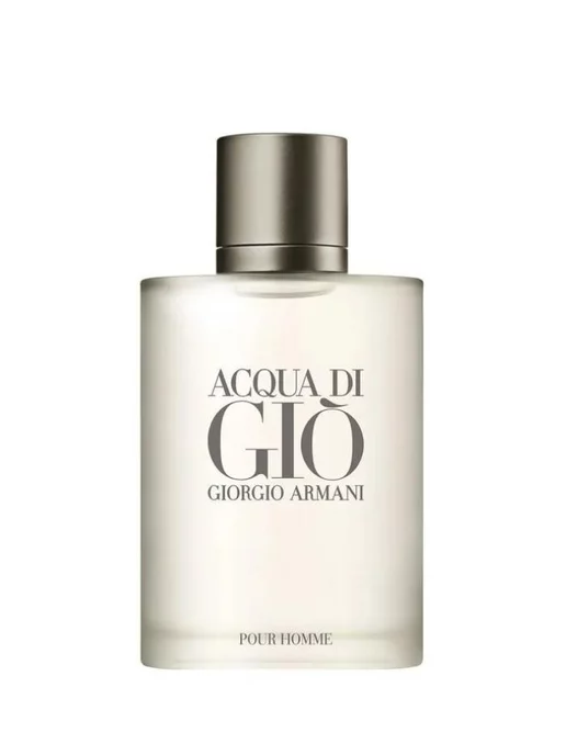 Giorgio Armani Acqua Di Gio Pour Homme 100ml