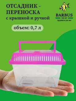 Переноска отсадник для рыб и черепах 14х10х10 см розовый BARBUS 230910985 купить за 153 ₽ в интернет-магазине Wildberries