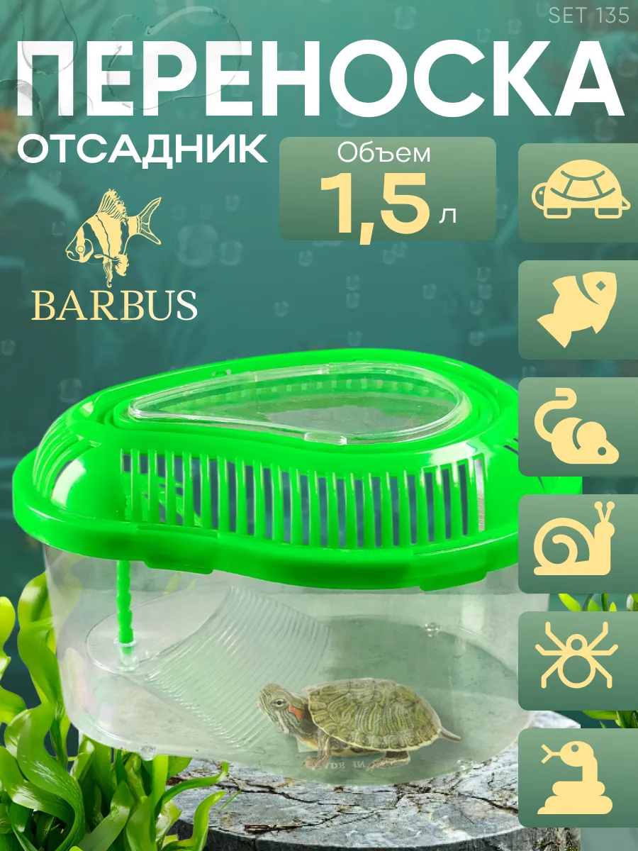 Переноска отсадник для рыб и черепах зеленый