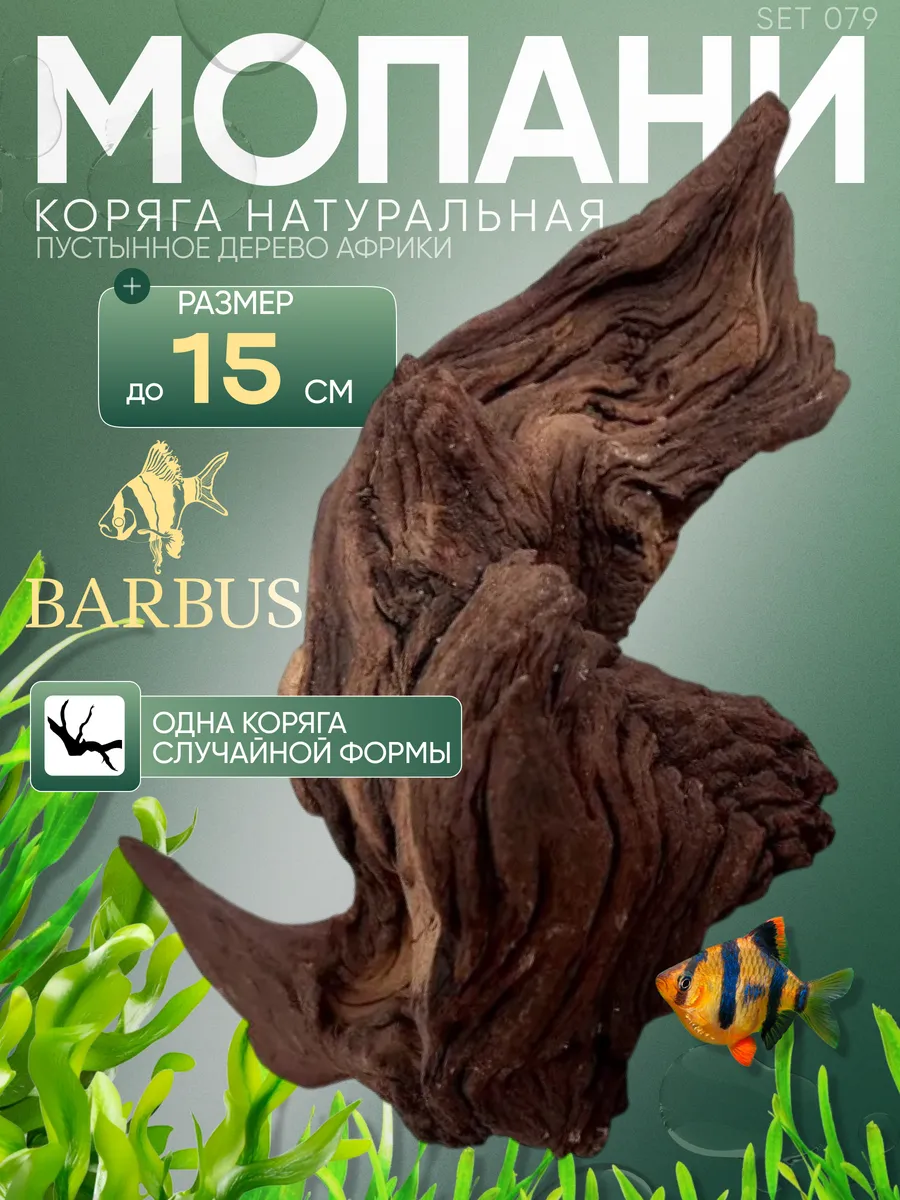 Натуральная коряга в аквариум мопани до 15см