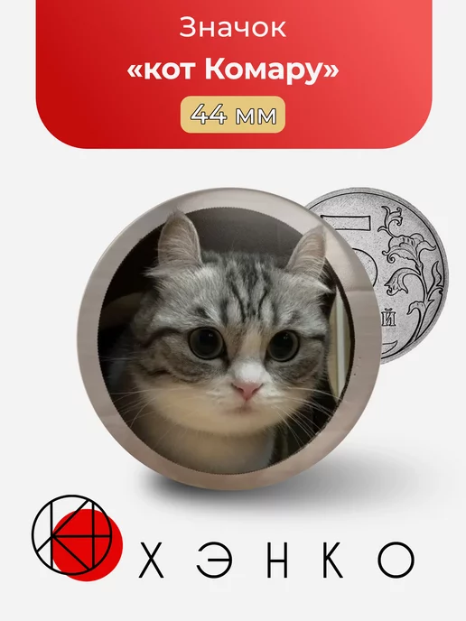 Кот Комару