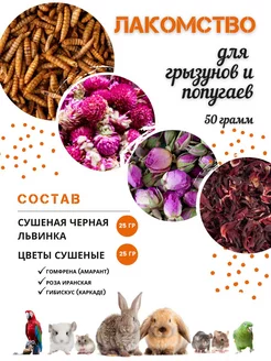 Лакомство для грызунов и птиц