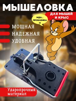 Мышеловка пластиковая для мышей и крыс Lik_Nik 231018751 купить за 308 ₽ в интернет-магазине Wildberries