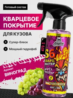 S6 Grape Кварцевое покрытие для кузова авто, 473 мл