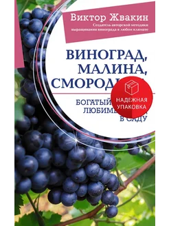 Виноград, малина, смородина. Богатый урожай любимых ягод в с