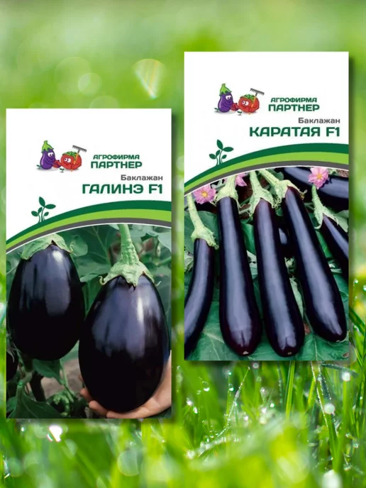 Выбор места для посадки