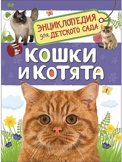 Кошки и котята