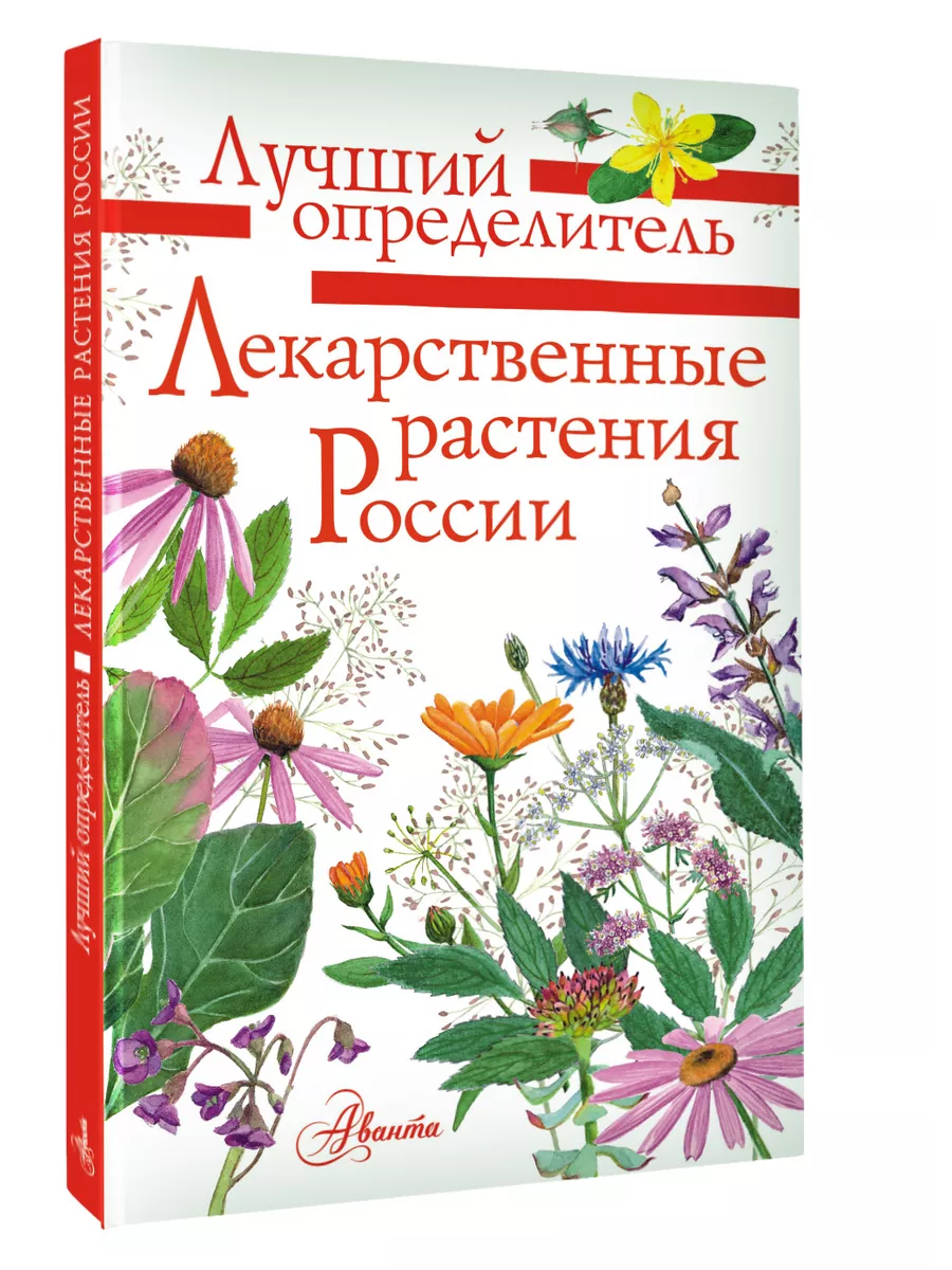 Лекарственные растения России