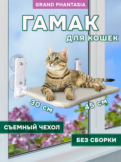 Кошка смотрит телевизор: что она видит