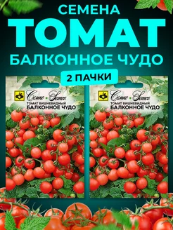 Семена Томатов Балконное Чудо низкорослые для подоконника Семко 231587647 купить за 234 ₽ в интернет-магазине Wildberries