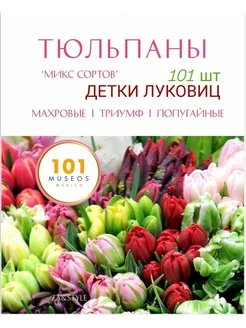 Тюльпаны луковицы махровые 101шт микс