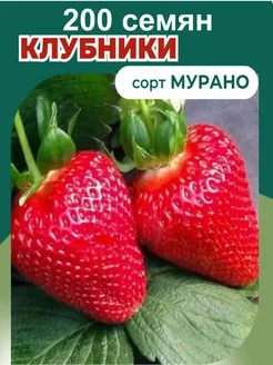 Семена 200шт. Клубника Мурано