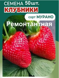 Клубника Мурано Семена 50шт