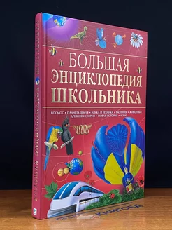 Большая энциклопедия школьника