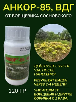 Средство от борщевика и сорняков Анкор-85, ВДГ Анкор-85, ВДГ 231765179 купить за 1 853 ₽ в интернет-магазине Wildberries