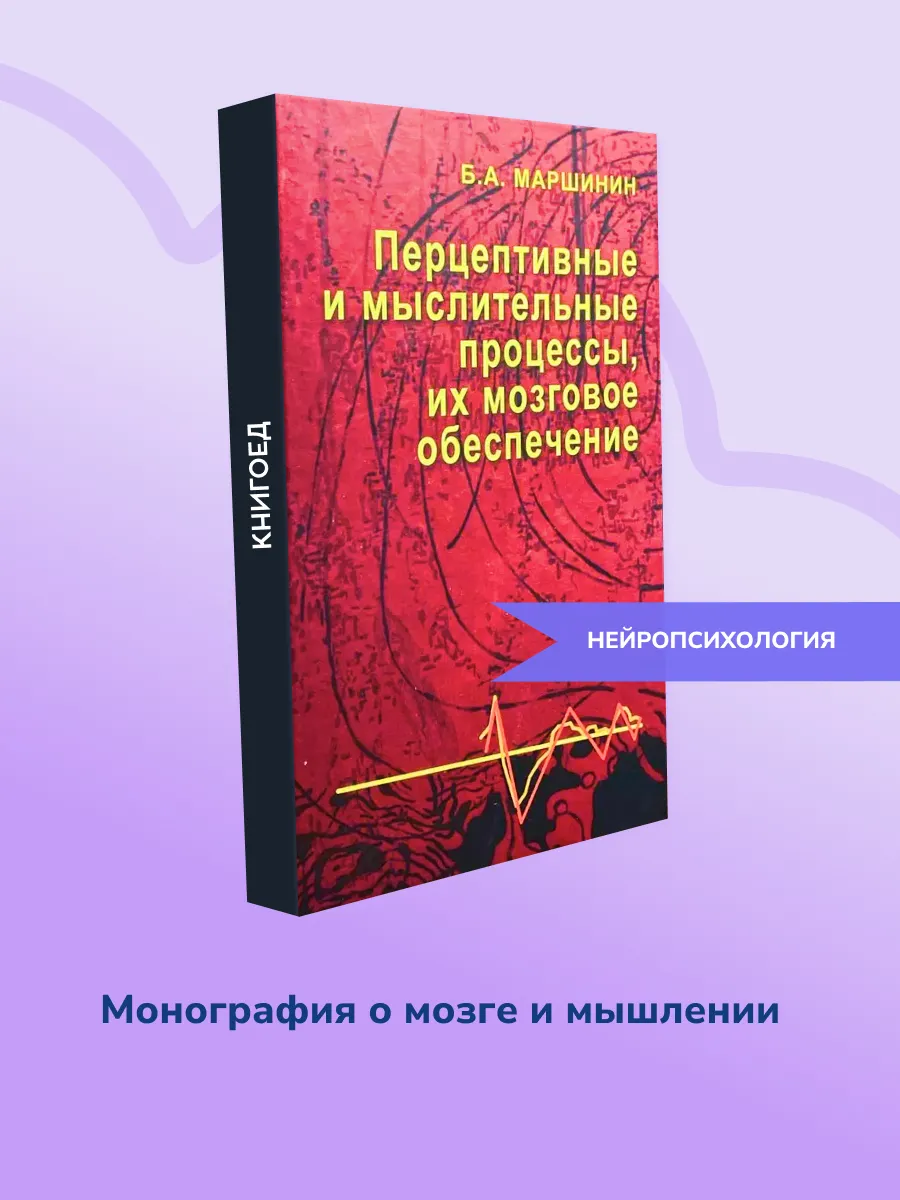 Перцептивные и мыслительные процессы, их мозговое обеспеч.