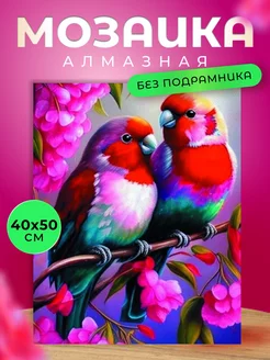 Алмазная мозаика 40x50 без подрамника попугаи