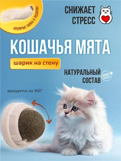 Кошачья мята, шарик