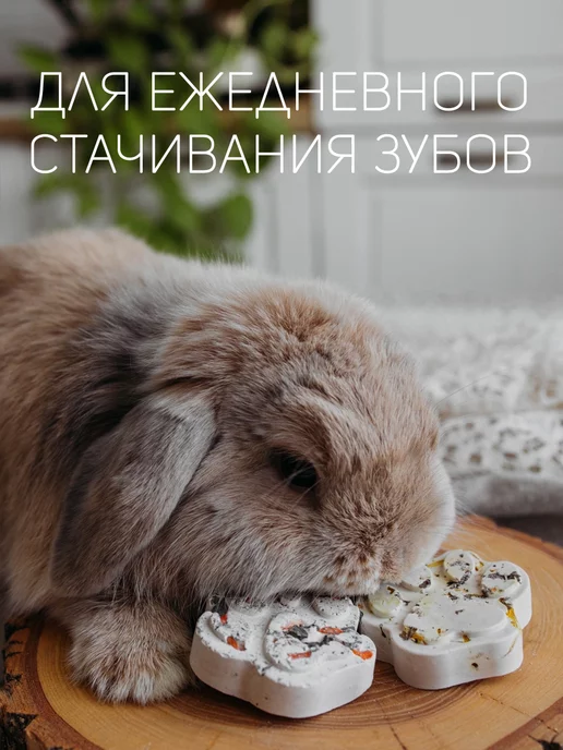 Little Mini Lop Минеральный камень для грызунов крыс хомяков шиншилл, вариант, фото 7