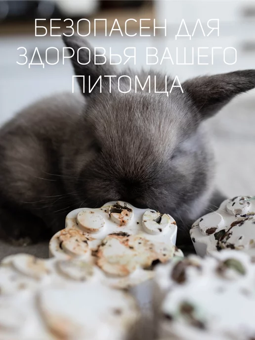 Little Mini Lop Минеральный камень для грызунов крыс хомяков шиншилл, вариант, фото 8