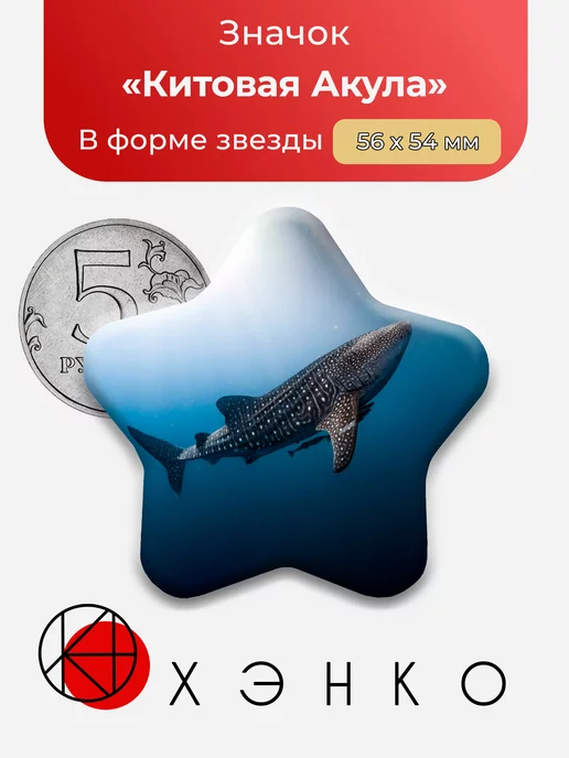 Китовая акула Звезда