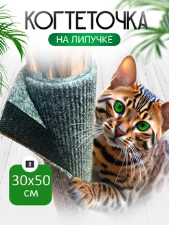 Когтеточка для кошки Galan 231993156 купить за 207 ₽ в интернет-магазине Wildberries