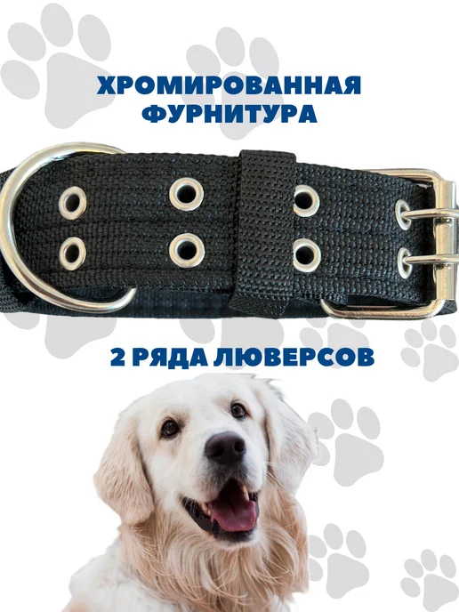 PETSTEP Ошейник для собак крупных и средних пород усиленный, черный, фото 2