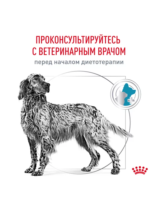 Сухой корм Royal canin Hypoallergenic При для собак, 7 кг, фото 7