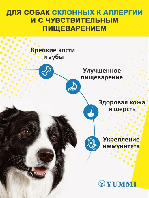 Сухой корм Yummi Юмми для собак, говядина, 20 кг, фото 4