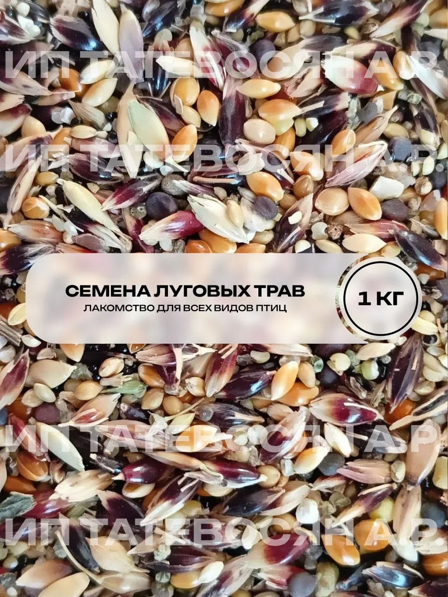 Семена луговых трав – лакомство для всех видов птиц, 1000г