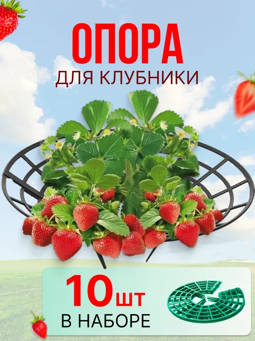 Беру кусок проволоки и делаю за 10 секунд подставку под клубнику — ни одна ягодка не лежит на земле