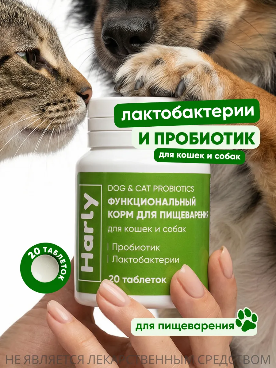 Пробиотик для собак и кошек лактобактерии для профилактики