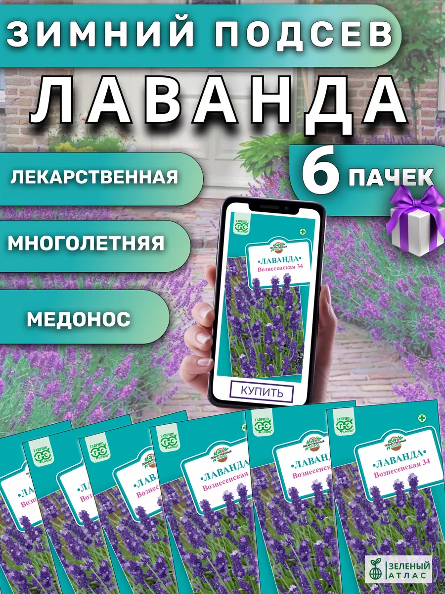 Семена Лаванды 6 шт.