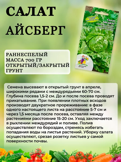 Уральский дачник оригинал Семена салата листового и кочанного для открытого грунта, зеленый, фото 2