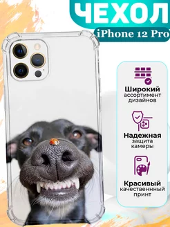 Чехол на iPhone 12 Pro силиконовый с принтом прикольный