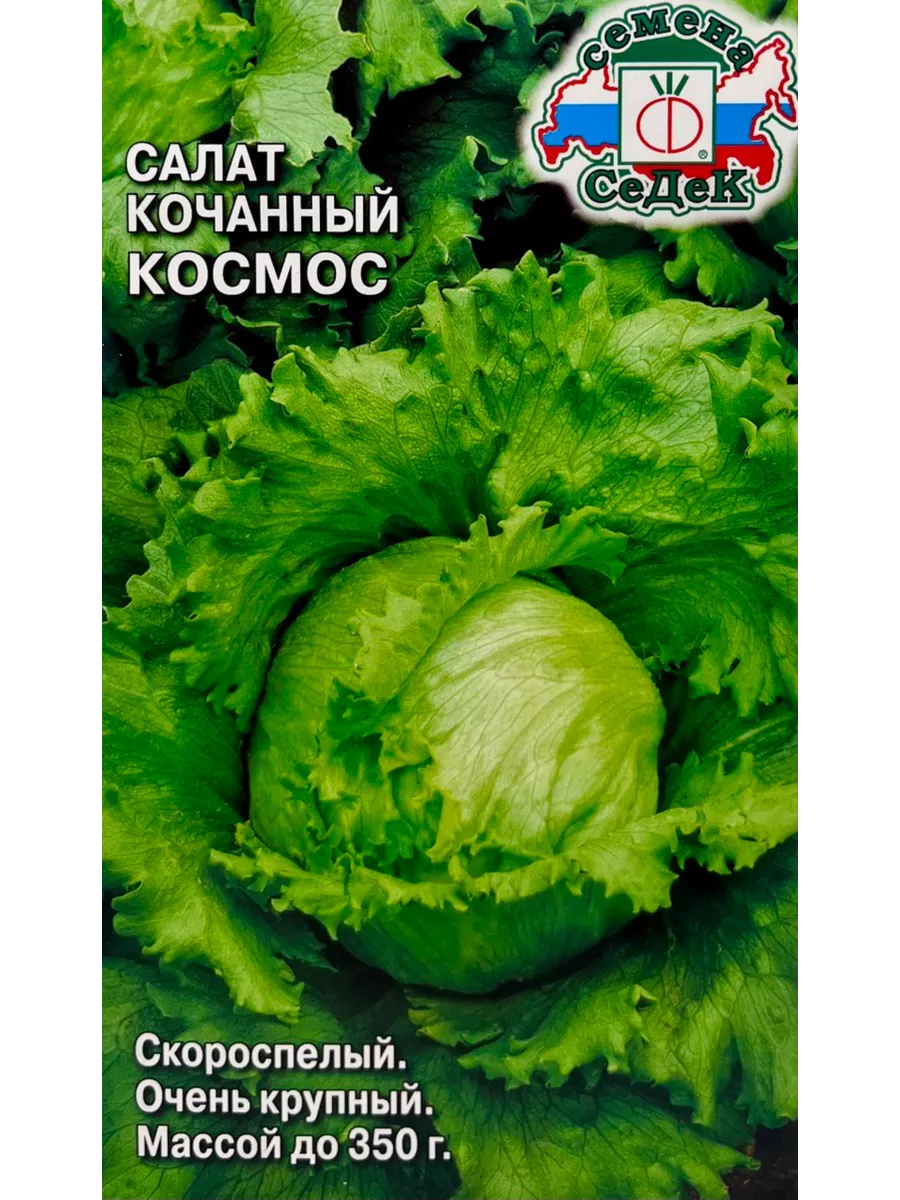 Салат Космос (айсберг)