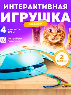 Интерактивная игрушка для кошек, дразнилка