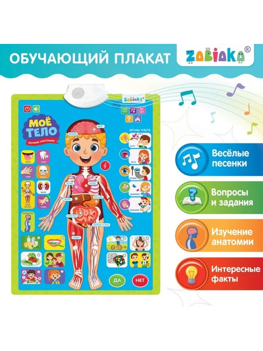 ZABIAKA Плакат для детей "Изучаем анатомию Моё тело", вариант