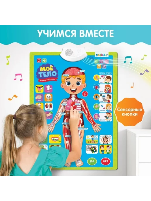 ZABIAKA Плакат для детей "Изучаем анатомию Моё тело", вариант, фото 2