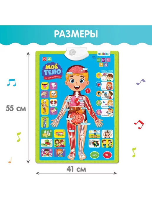 ZABIAKA Плакат для детей "Изучаем анатомию Моё тело", вариант, фото 3