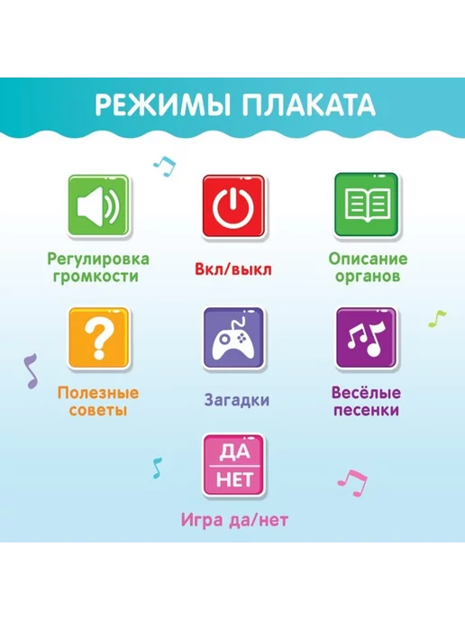 ZABIAKA Плакат для детей "Изучаем анатомию Моё тело", вариант, фото 5