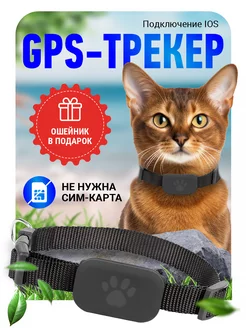 GPS трекер для собак и кошек и животных с ошейником Стильный флаффи 232919624 купить за 1 786 ₽ в интернет-магазине Wildberries