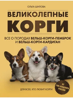 Великолепные корги. Все о породах вельш-корги-пемброк и в